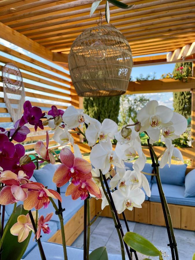 Escondida Bed & Breakfast นีซ ภายนอก รูปภาพ